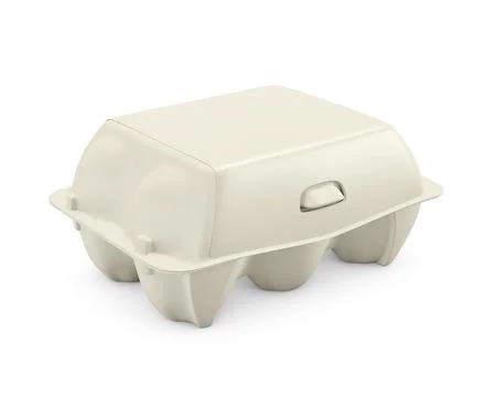 A blank image of a egg carton box isolated on a white background Stock Illustration