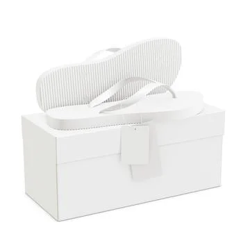 A blank image of a flip flop with a box isolated on a white background Stock Illustration