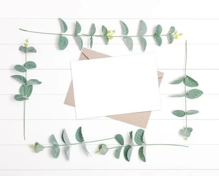 Blank invitation with envelope and eucalyptus branches on white wooden backgr Stock Photos