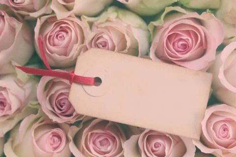 Blank Label Foto stock