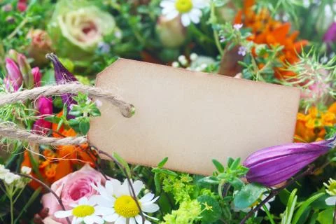 Blank Label Stock Photos