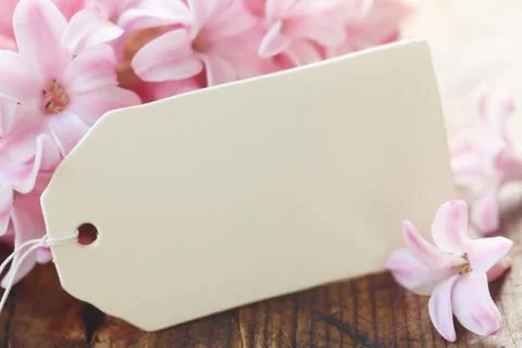 Blank Label Stock Photos