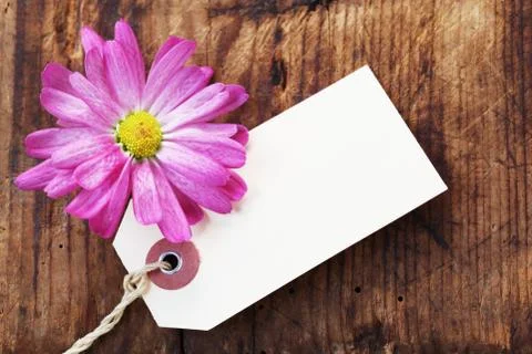 Blank Label Foto stock