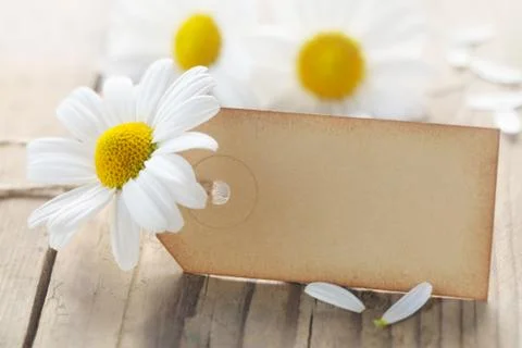 Blank Label Stock Photos