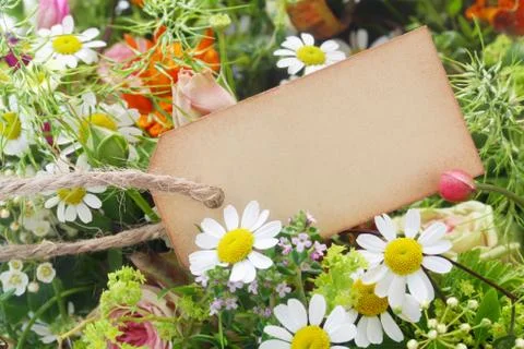 Blank Label Stock Photos