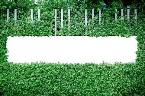 Blank labels for text or image logos framed by green leaves. Stock Photos