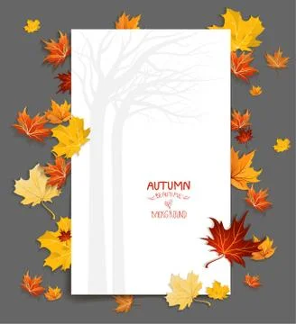 Blank with maple leaves Stock Illustration