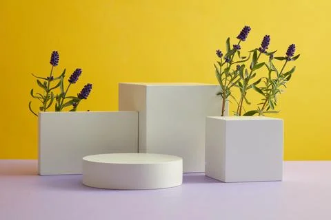 Blank minimalist empty showcase template with fresh lavender flower arranged  Foto stock