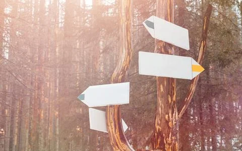 Blank mountain signs on the tree Stock Photos