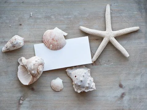 Blank note with assortment of seashells Stock Photos