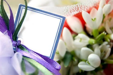 Blank note with ribbons Stock Photos