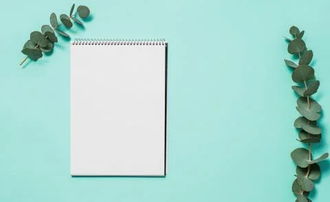 Blank notebook and eucalyptus on blue background Stock Photos
