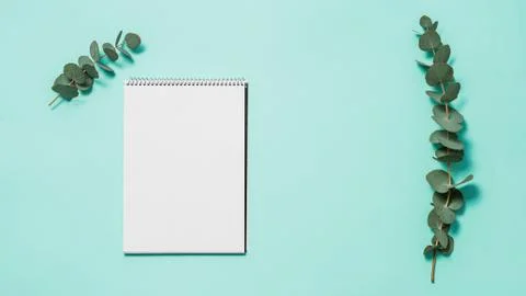 Blank notebook and eucalyptus on blue background Stock-Fotos