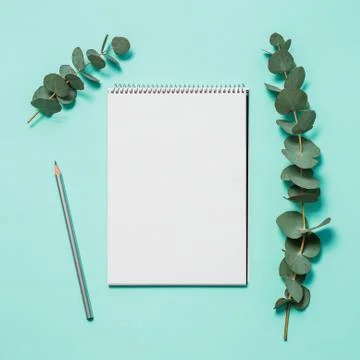Blank notebook and eucalyptus on blue background Stock Photos
