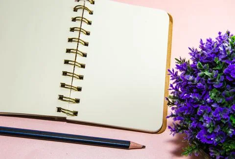 Blank notebook and pencil Stock Photos