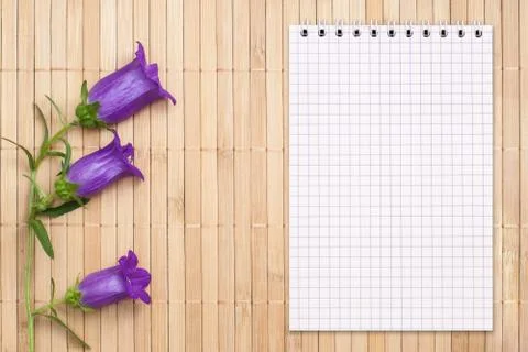 Blank notebook on a bamboo background and bellflower, copy space Stock Photos