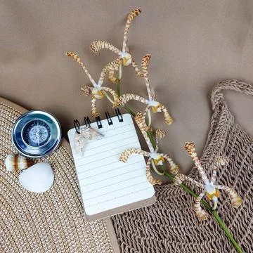 Blank Notebook with Compass and Seashells Summer Flat Lay. Stock Photos