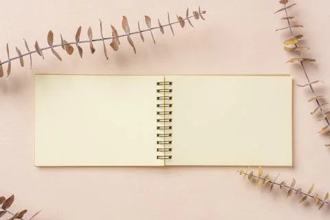 Blank notebook with eucalyptus mock up on pastel peach table Stock Photos