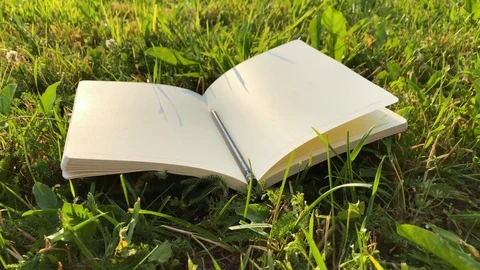 Blank notebook on the grass Video stock 92800100