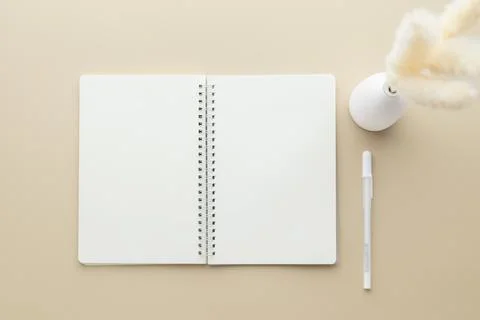 Blank notebook mockup on a beige background, cotton flower, reeds grass in a  Stock Photos