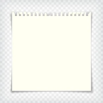 Blank notebook page with torn edge Stock Illustration