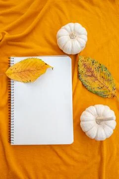 Blank notebook with space for text on textile yellow background with pumpkins Stock Photos