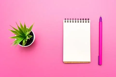 Blank notebook with spiral for the application of labels, pen and aloe Vera i Stock Photos