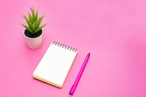 Blank notebook with spiral for the application of labels, pen and aloe Vera i Stock Photos