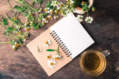 Blank notebook white flower and bas ket of flower and cup of tea on vintage wood Stock Photos