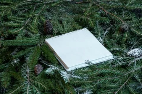 Blank notepad on christmas tree branches. New year planning concept. Stock Photos