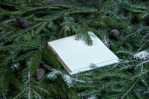 Blank notepad on christmas tree branches. New year planning concept. Stock Photos
