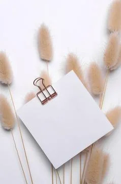 Blank notepad with clip on white background and dried flowers Foto stock