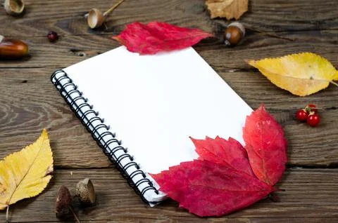Blank notepad covered with autumn rust leaves . Stock Photos