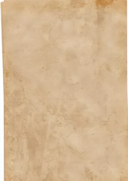 Blank Old Parchment Paper Sheet Vector Illustration Illustration