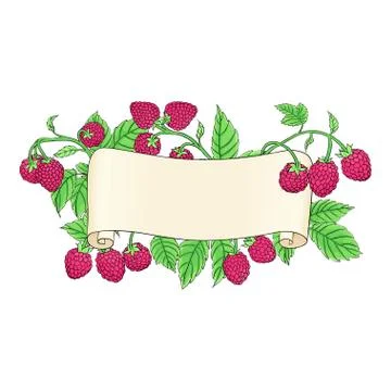 Blank old scroll Stock Illustration