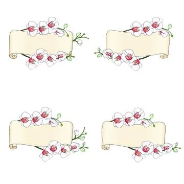 Blank old scroll Stock Illustration