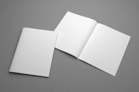 Blank open 3d rendering US Letter magazine mockup with cover Stockillustratie