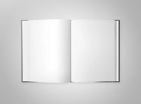 Blank Open Book Stock Illustration