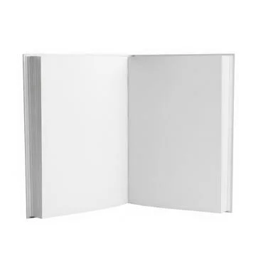 A blank, open book with a silver spine standing upright against a white bac.. Stock Illustration