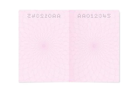 Blank open passport page. Empty sheet with number, identity document template Stock Illustration