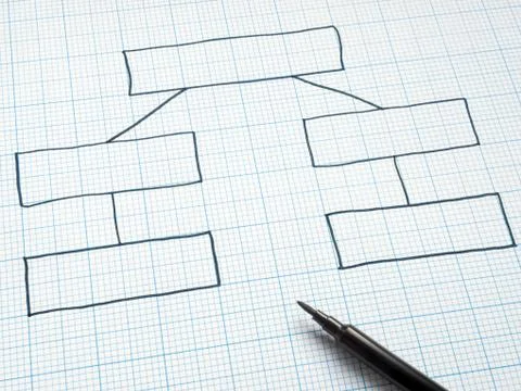 Blank organization chart drawn on square graph paper. Photos