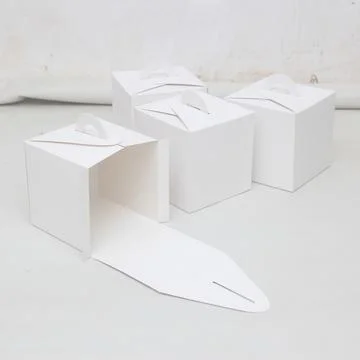 Blank Packaging Box - Open Mockup, Isolated On White Background Stock Photos