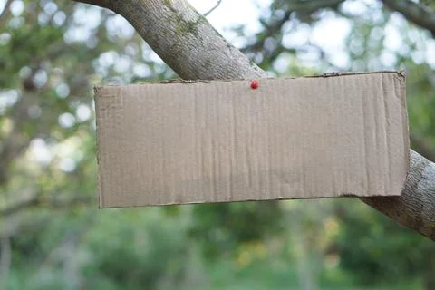 Blank paper card board for adding texts or words, sticked on branch of tree. Stock Photos