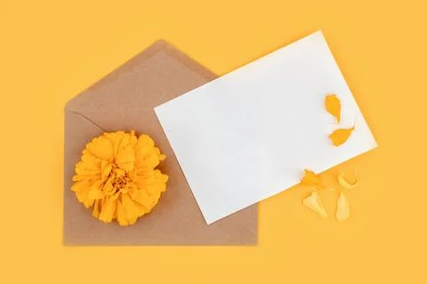 Blank paper card,Envelope and marigold flower on orange background Stock Photos