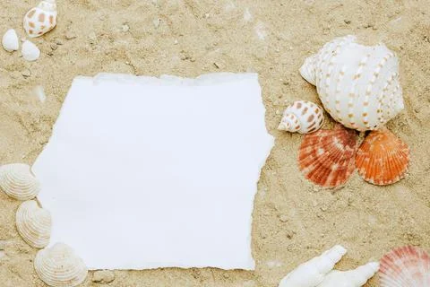 Blank paper concept for text with frames adorned with shells on a sandy backg Stock Photos