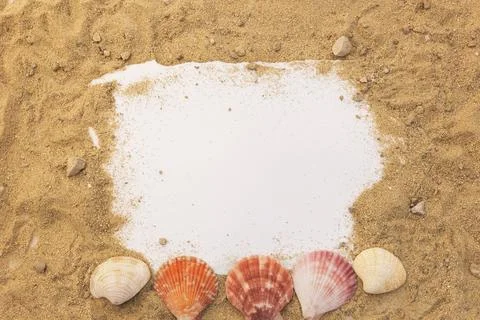 Blank paper concept for text with frames adorned with shells on a sandy backg Stock Photos