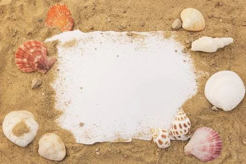 Blank paper concept for text with frames adorned with shells on a sandy backg Stock Photos