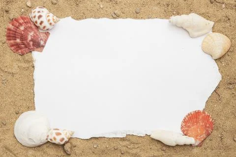 Blank paper concept for text with frames adorned with shells on a sandy backg Stock Photos