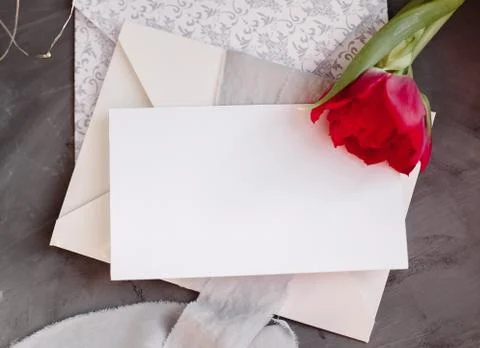 Blank paper copy space. Frame with flowers. Silk ribbon. Gray background. Sim Stock Photos