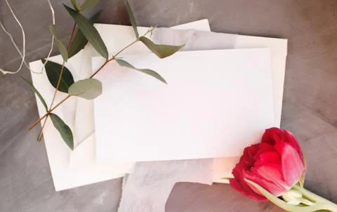 Blank paper copy space. Frame with flowers. Silk ribbon. Gray background. Sim Stock Photos